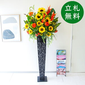  X^h AW H185cm JX J ړ] j  t[  AWg tFCN X ZW fnEX ze [jD] ^đyPA853-IR120BK ԃX^h