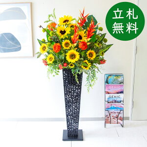  X^h AW H155cm JX J ړ] j  t[  Mtg v[g AWg tFCN X ZW fnEX ze [jD] ^đyPA853-