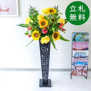  X^h AW H105cm JX J ړ] j  t[  Mtg v[g AWg tFCN X ZW fnEX ze [jD] đyPA857-IR72BK