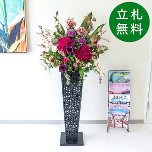  X^h AW H135cm JX J ړ] j  t[  Mtg v[g AWg tFCN X ZW fnEX ze [jD] ~bNXyPA858-IR9