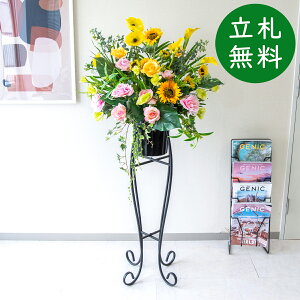  X^h AW H135cm JX J ړ] j  t[  Mtg v[g AWg tFCN X ZW fnEX ze [jD] đyPA860-SEN90 