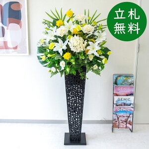  X^h AW H145cm JX J ړ] j  t[  Mtg v[g AWg tFCN X ZW fnEX ze [jD] ~bNXyPA862-IR9