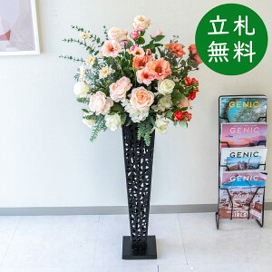  X^h AW H115cm JX J ړ] j  t[  Mtg v[g AWg tFCN X ZW fnEX ze [jD] ʔNyPA871-IR72BK 