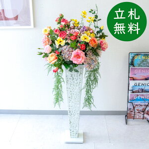  X^h AW H115cm JX J ړ] j  t[  Mtg v[g AWg tFCN X ZW fnEX ze [jD] đyPA872-IR72WH