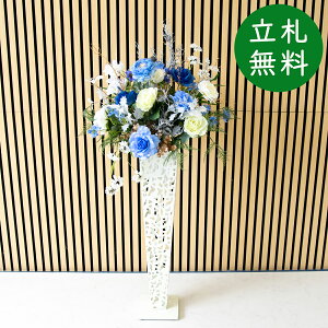  X^h AW H120cm JX J ړ] j  t[  Mtg v[g AWg tFCN X ZW fnEX ze [jD] yPA891-IR72WH 