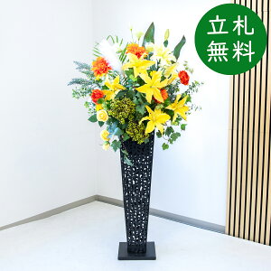  X^h AW H155cm JX J ړ] j  t[  Mtg v[g AWg tFCN X ZW ze [jD] ~bNXyPA902-IR90BK ԃX^