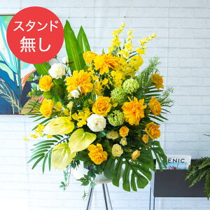 yPA570 ԃX^hAWւpt[z̏i͂ԕ݂̂łBX^hƂ̓ZbgɂȂĂ܂̂łӂ