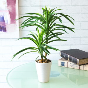 tFCNO[|bg(bJ) 45cm 픫 / tFCNO[ lHϗtA CeA    u^ (PAS062)