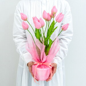 ԃAWg|bg(`[bv) 47cm / t[AWg e[uv^[ CeAt[ tFCN    u^ Xܑ X (PAS143-PINK)