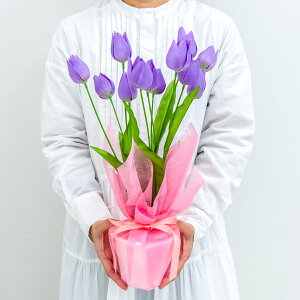 ԃAWg|bg(`[bv) 47cm / t[AWg e[uv^[ CeAt[ tFCN    u^ Xܑ X (PAS143-PURPLE)