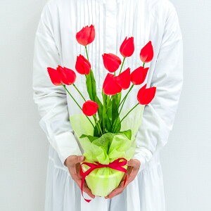 造花アレンジメントポット(チューリップ) 高さ47cm / フラワーアレンジメント テーブルプランター インテリアフラワー フェイク 卓上 おしゃれ 装飾 置き型 店舗装飾 店内装飾 (PAS143-RED)