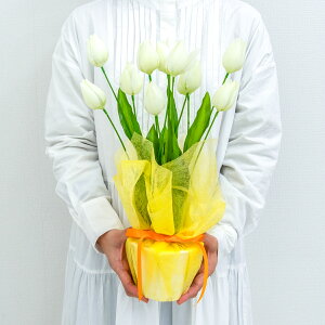 ԃAWg|bg(`[bv) 47cm / t[AWg e[uv^[ CeAt[ tFCN    u^ Xܑ X (PAS143-WHITE)