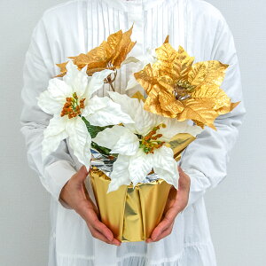 ԃAWg|bg(|CZ`A/zCgS[h) 38cm /NX}X t[AWg e[uv^[ CeAt[ tFCN    u^ 