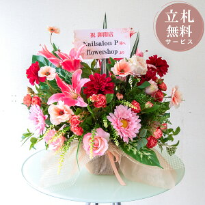 ԃAWg 55cm / t[ AW JXj j JX JX J ړ] j Mtg v[g tFCN e[u  u^ D (PAS177)