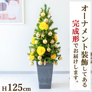 H125cm ԃI[igtNX}Xc[AW/t/CG[n/NX}X NX}X fR[V I[ig  ~ Christmas tFCNO[  CeA