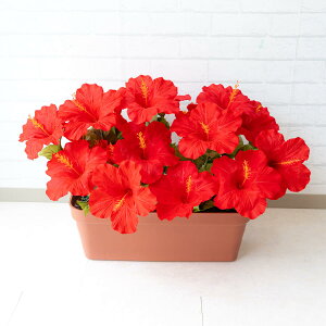 ԃv^[ t[v^[ t[AWg tFCNO[ Xܑ fBXvC p`RX H ZW fnEX V[[ đ bh/PF289-LB 