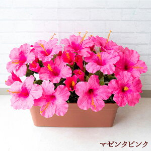 ԃv^[ t[v^[ t[AWg tFCNO[ Xܑ fBXvC p`RX H ZW fnEX V[[ đ sN/PF292-LB 