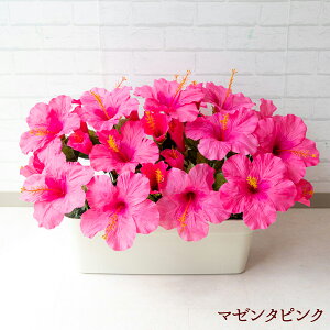 ԃv^[ t[v^[ t[AWg tFCNO[ Xܑ fBXvC p`RX H ZW fnEX V[[ đ sN/PF292-WH 