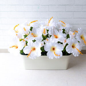 ԃv^[ t[v^[ t[AWg tFCNO[ Xܑ fBXvC p`RX H ZW fnEX V[[ đ zCg/PF293-WH 