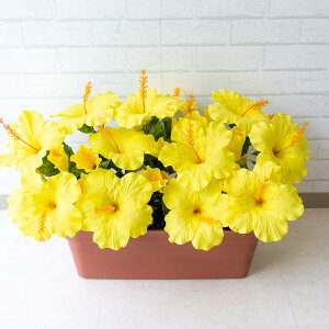 ԃv^[ t[v^[ t[AWg tFCNO[ Xܑ fBXvC p`RX H ZW fnEX V[[ đ CG[/PF294-LB 