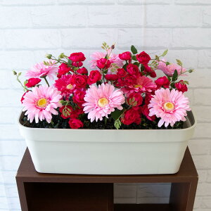 ԃv^[ t[v^[ t[AWg tFCNO[ Xܑ fBXvC p`RX H ZW fnEX V[[ ʔN sN/PF389-WH 