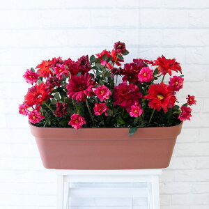 造花プランター フラワープランター フラワーアレンジメント フェイクグリーン 店舗装飾 ディスプレイ パチンコ店 工事現場 住宅展示場 モデルハウス ショールーム レッド/PF392-LB 造花プラ