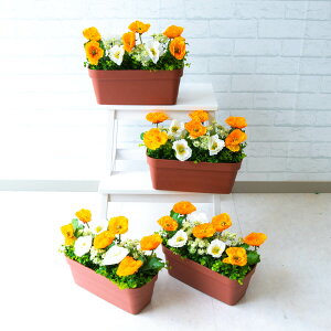 造花プランター フラワープランター フラワーアレンジメント フェイクグリーン 店舗装飾 ディスプレイ パチンコ店 工事現場 住宅展示場 モデルハウス ショールーム 通年 オレンジ/PF404 造花