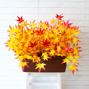 ԃv^[ t[v^[ t[AWg tFCNO[ Xܑ fBXvC p`RX H ZW fnEX V[[ H IW/PF411-LB 