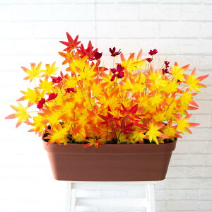 ԃv^[ t[v^[ t[AWg tFCNO[ Xܑ fBXvC p`RX H ZW fnEX V[[ H IW/PF413-LB 