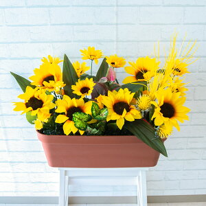 ԃv^[ t[v^[ t[AWg tFCNO[ Xܑ fBXvC p`RX H ZW fnEX V[[ đ CG[/PF490-LB 