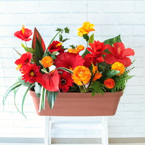 ԃv^[ t[v^[ t[AWg tFCNO[ Xܑ fBXvC p`RX H ZW fnEX V[[ đ bh/PF493-LB 