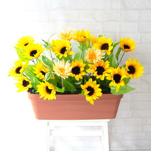 ԃv^[ t[v^[ t[AWg tFCNO[ Xܑ fBXvC p`RX H ZW fnEX V[[ đ CG[/PF498-LB 