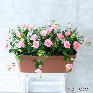 ԃv^[ t[v^[ t[AWg tFCNO[ Xܑ fBXvC p`RX H ZW fnEX V[[ ʔN xr[sN/PF531-