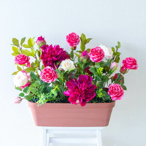 ԃv^[ t[v^[ t[AWg tFCNO[ Xܑ fBXvC p`RX H ZW fnEX V[[ ʔN sN/PF549-LB 