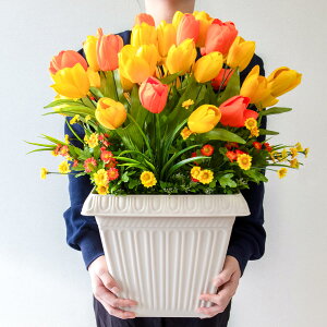 ԃv^[ t[v^[ t[AWg tFCNO[ Xܑ fBXvC p`RX H ZW fnEX V[[ t IW/PF551 