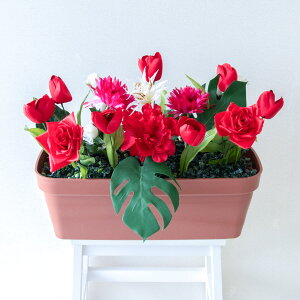 ԃv^[ t[v^[ t[AWg tFCNO[ Xܑ fBXvC p`RX H ZW fnEX V[[ t bh/PF557-LB 