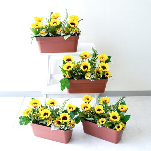 ԃv^[ t[v^[ t[AWg tFCNO[ Xܑ fBXvC p`RX H ZW fnEX V[[ đ CG[/PF577-MIN