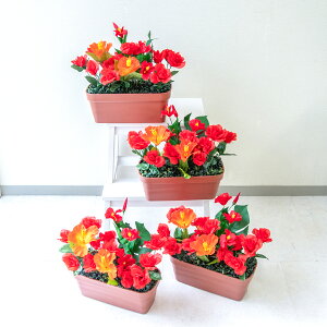 ԃv^[ t[v^[ t[AWg tFCNO[ Xܑ fBXvC p`RX H ZW fnEX V[[ đ }`J[/PF6