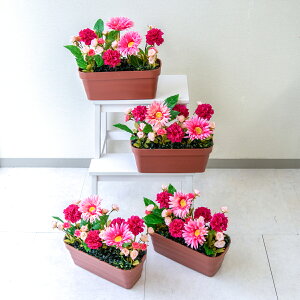 ԃv^[ t[v^[ t[AWg tFCNO[ Xܑ fBXvC p`RX H ZW fnEX V[[ ʔN sN/PF640-MINI 