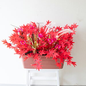 ԃv^[ t[v^[ t[AWg tFCNO[ Xܑ fBXvC p`RX H ZW fnEX V[[ H IW/PF642-LB 