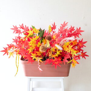 ԃv^[ t[v^[ t[AWg tFCNO[ Xܑ fBXvC p`RX H ZW fnEX V[[ H IW/PF644-LB 