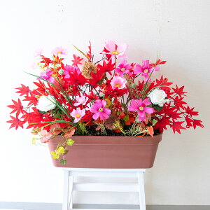 ԃv^[ t[v^[ t[AWg tFCNO[ Xܑ fBXvC p`RX H ZW fnEX V[[ ~bNX sN/PF662-LB 