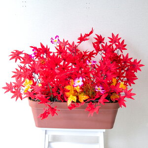 ԃv^[ t[v^[ t[AWg tFCNO[ Xܑ fBXvC p`RX H ZW fnEX V[[ H bh/PF683-LB 