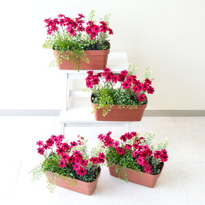 ԃv^[ t[v^[ t[AWg tFCNO[ Xܑ fBXvC p`RX H ZW fnEX V[[ ʔN bh/PF724-MINI 