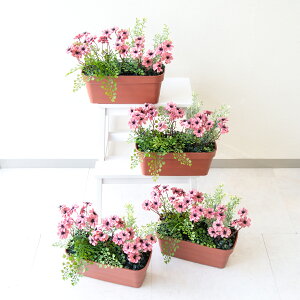 ԃv^[ t[v^[ t[AWg tFCNO[ Xܑ fBXvC p`RX H ZW fnEX V[[ ʔN sN/PF725-MINI 