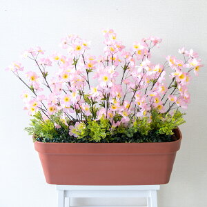 ԃv^[ t[v^[ t[AWg tFCNO[ Xܑ fBXvC p`RX H ZW fnEX V[[ t sN/PF742-LB 