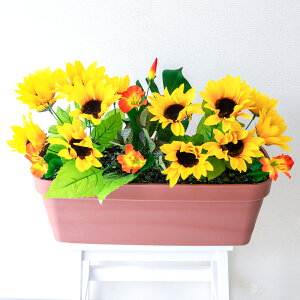 ԃv^[ t[v^[ t[AWg tFCNO[ Xܑ fBXvC p`RX H ZW fnEX V[[ đ CG[/PF790-LB 