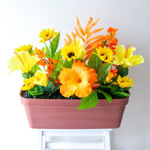 ԃv^[ t[v^[ t[AWg tFCNO[ Xܑ fBXvC p`RX H ZW fnEX V[[ đ CG[/PF791-LB 