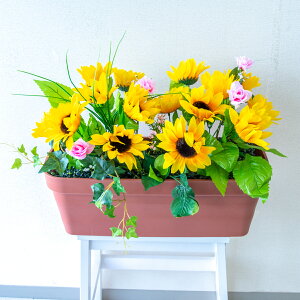 ԃv^[ t[v^[ t[AWg tFCNO[ Xܑ fBXvC p`RX H ZW fnEX V[[ đ CG[/PF815-LB 