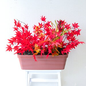 造花プランター フラワープランター フラワーアレンジメント フェイクグリーン 店舗装飾 ディスプレイ パチンコ店 工事現場 住宅展示場 モデルハウス ショールーム 秋装飾 レッド/PF820-LB 造